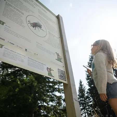 Отель Planja Зрече