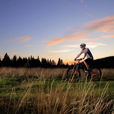 Отель Planja 4*