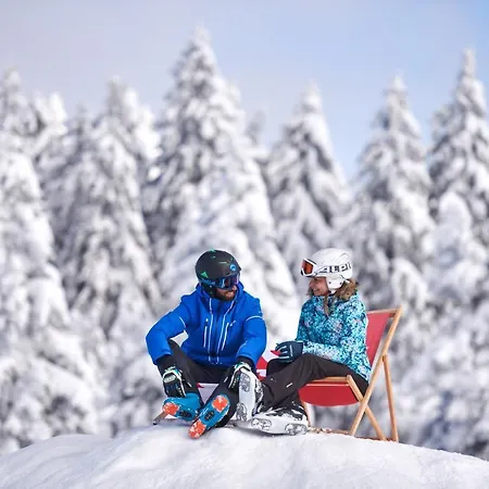 Отель Planja 4*