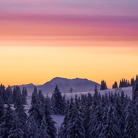 Отель Planja 4*