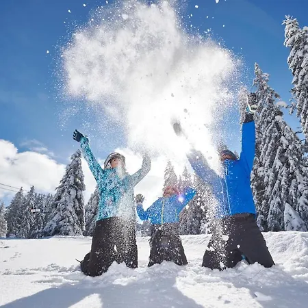 Planja Отель Зрече