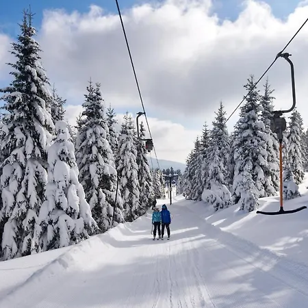 Отель Planja 4*