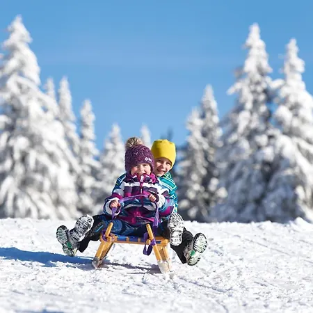 Planja Отель Зрече